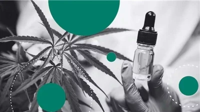 Hampi vs CBD: Hver er munurinn?